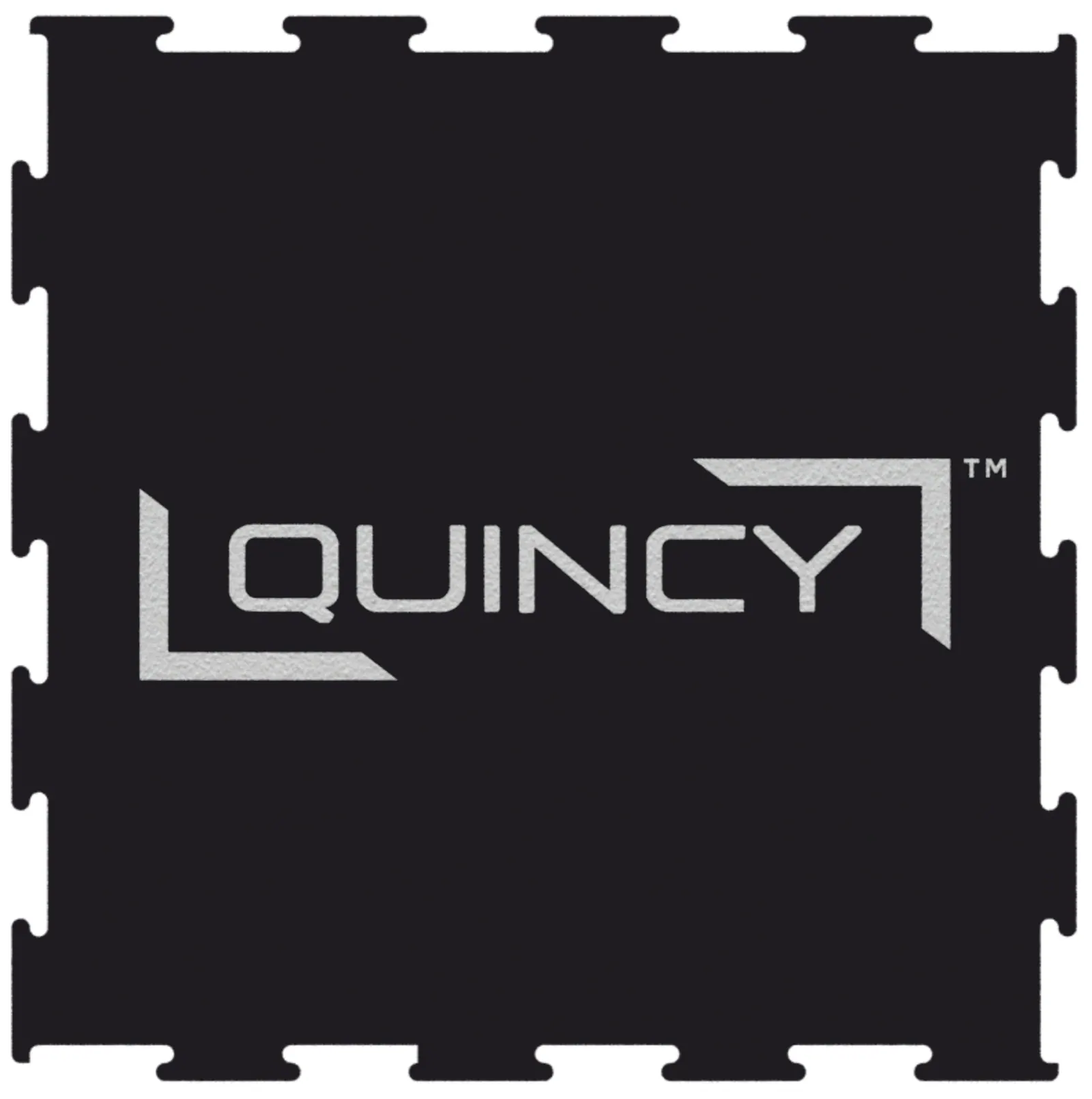 Logo Quincy
